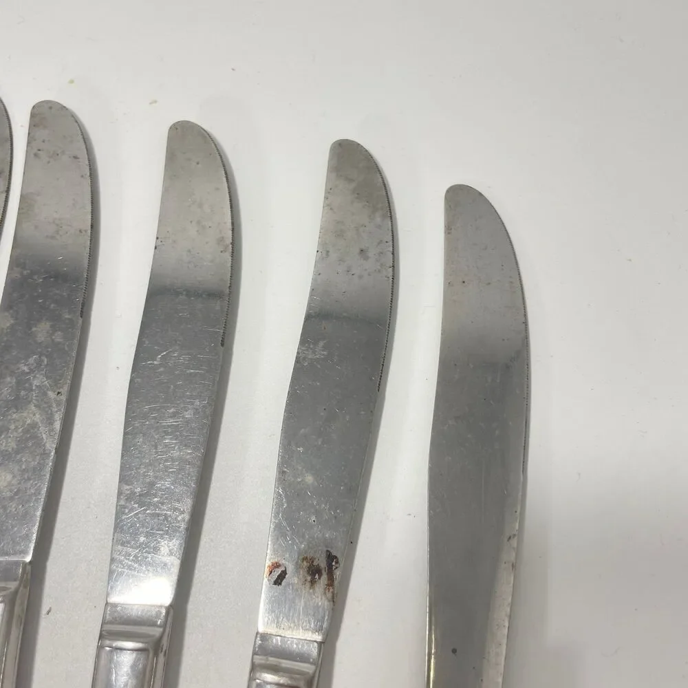 Lot of 9 Oneida Wm A Rogers Premier La Rose Stainless Dinner Knives 8.5”